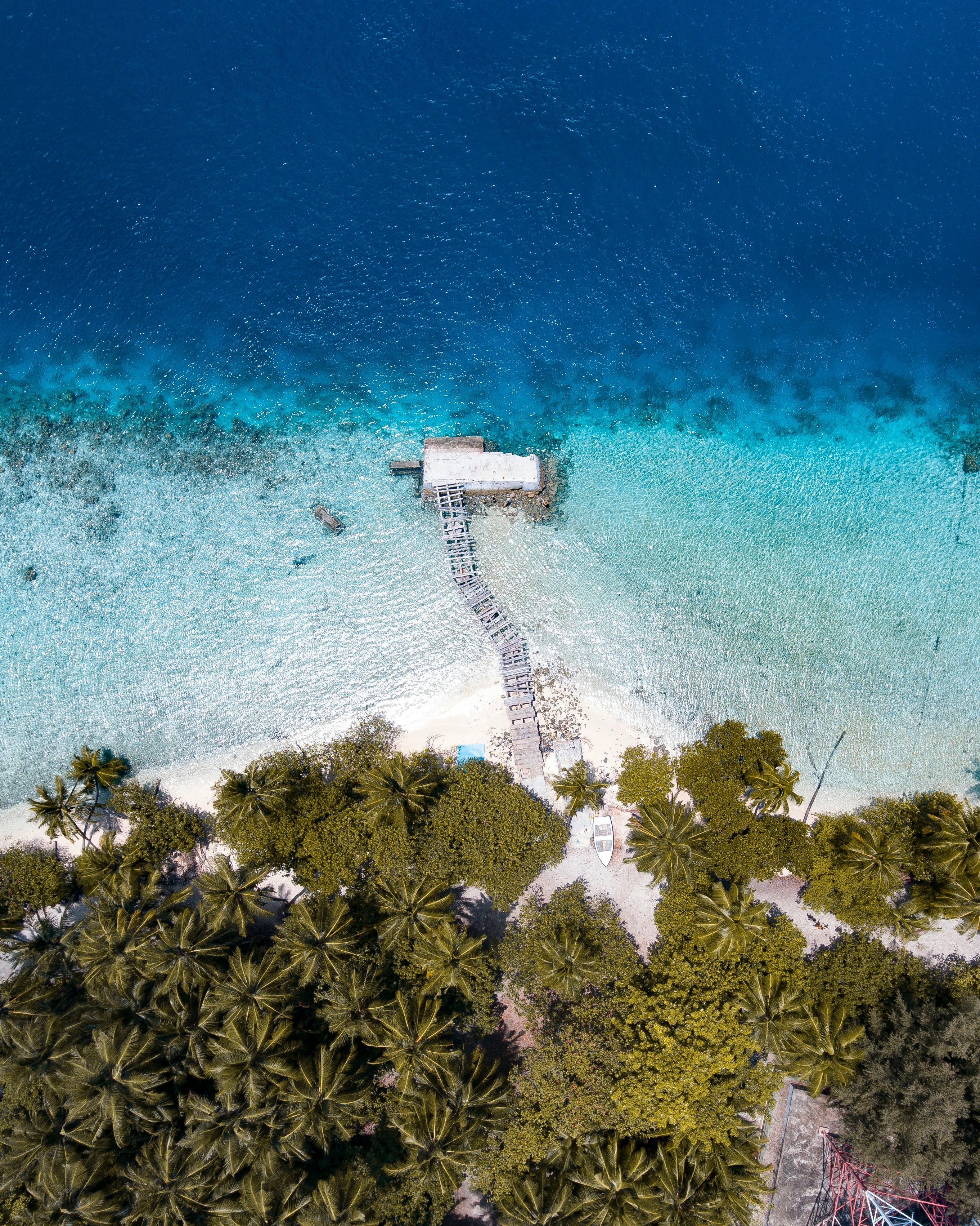 bird's eye view of bridge on sea